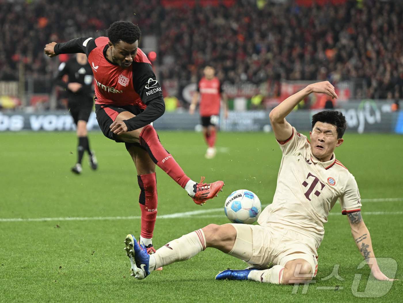 본문 이미지 - FBL-GER-BUNDESLIGA-LEVERKUSEN-BAYERN MUNICH ⓒ AFP=뉴스1