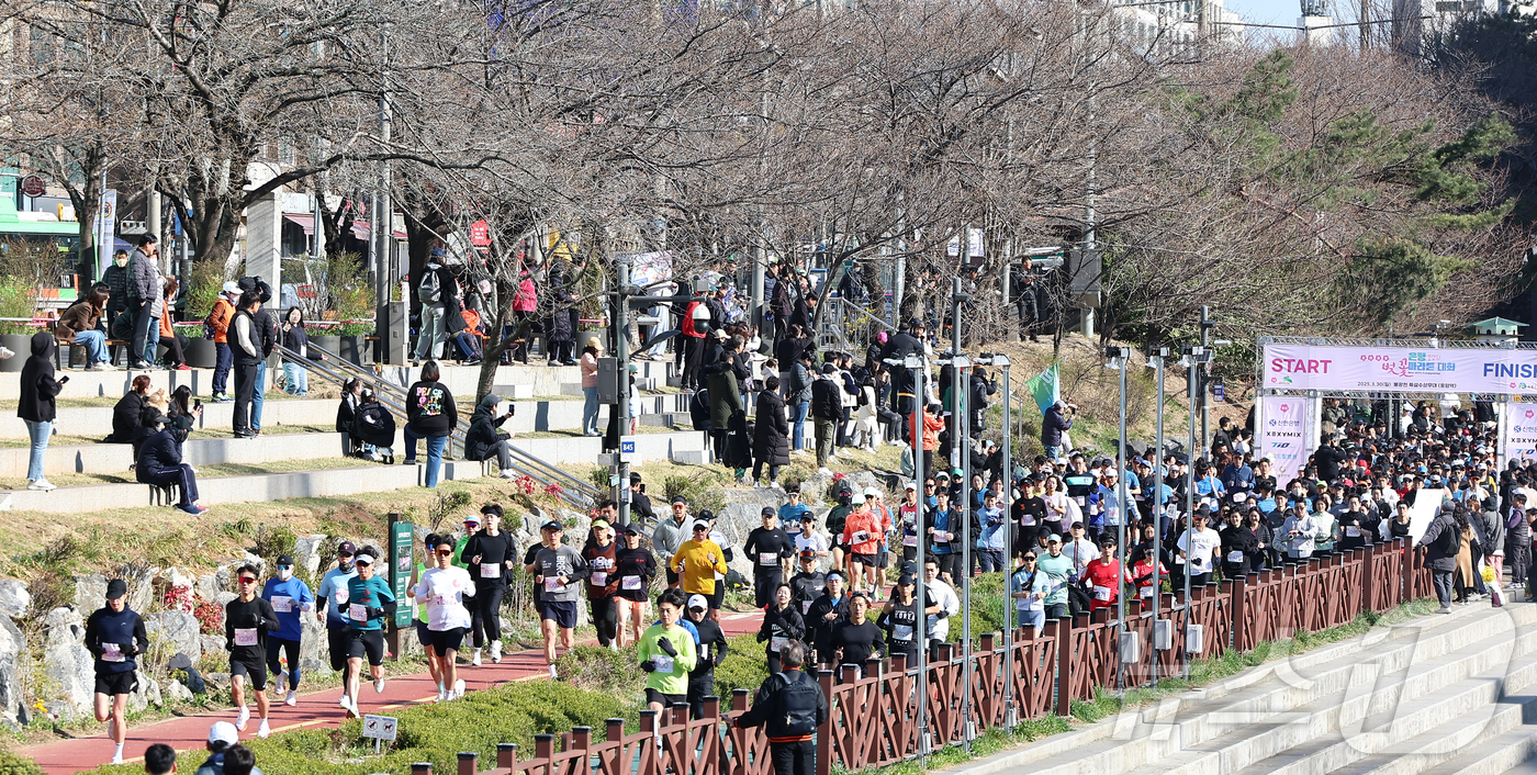 (서울=뉴스1) 김도우 기자 = 30일 오전 서울 은평구 불광천에서 열린 '2025 은평 불광천 벚꽃마라톤 대회'에서 참가자들이 힘차게 달리고 있다. 2025.3.30/뉴스1