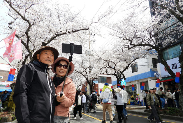 '바가지 논란' 탐라문화제·전농로벚꽃축제 제주도 지정축제 퇴출