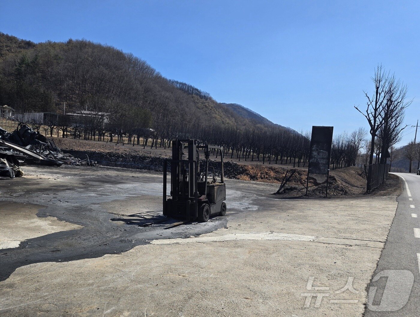 본문 이미지 - 경북 안동시 길안면 구수리 한 과수원의 사과나무와 지게차가 검게 그을린 채 서 있다.&#40;재판매 및 DB 금지&#41; 2025.3.30/뉴스1
