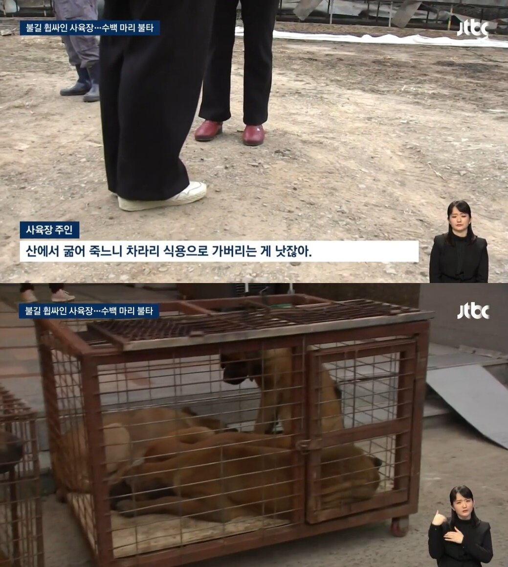 본문 이미지 - &#40;JTBC 뉴스 갈무리&#41;