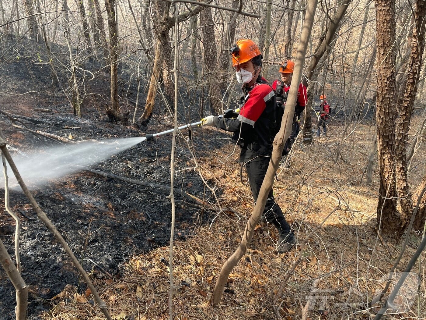 본문 이미지 - 산불진화대원이 잔불 정리를 하고 있다.(하동군 제공. 재판매 및 DB금지.)
