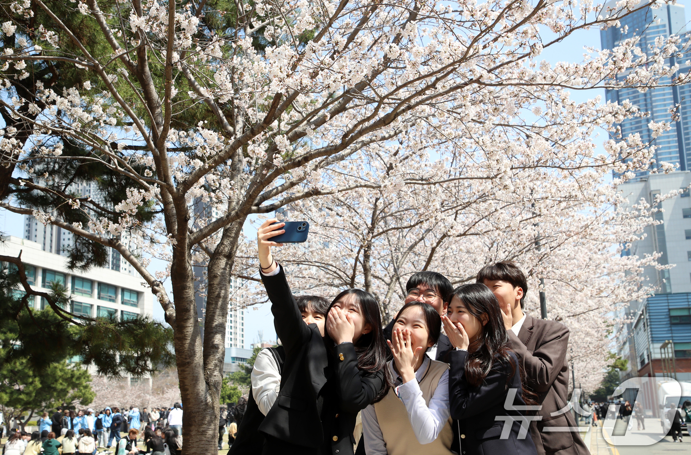 (부산=뉴스1) 윤일지 기자 = 31일 오후 부산 남구 국립부경대학교 대연캠퍼스에서 벚꽃 축제 '핑크캠퍼스'에서 4월 1일 '만우절'을 맞아 부경대 학생들이 고등학생 때 입었던 교 …