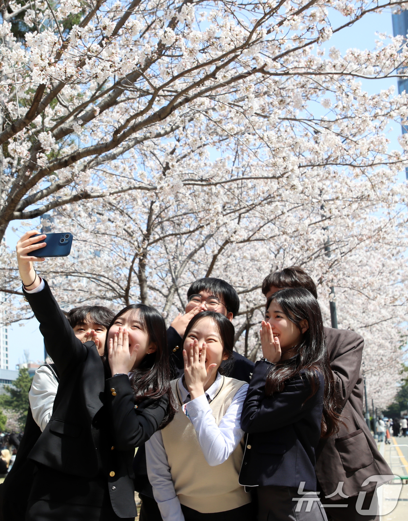 (부산=뉴스1) 윤일지 기자 = 31일 오후 부산 남구 국립부경대학교 대연캠퍼스에서 열린 벚꽃 축제 '핑크캠퍼스'를 찾은 외국인 유학생들이 벚꽃을 배경으로 셀카를 찍고 있다.부산 …