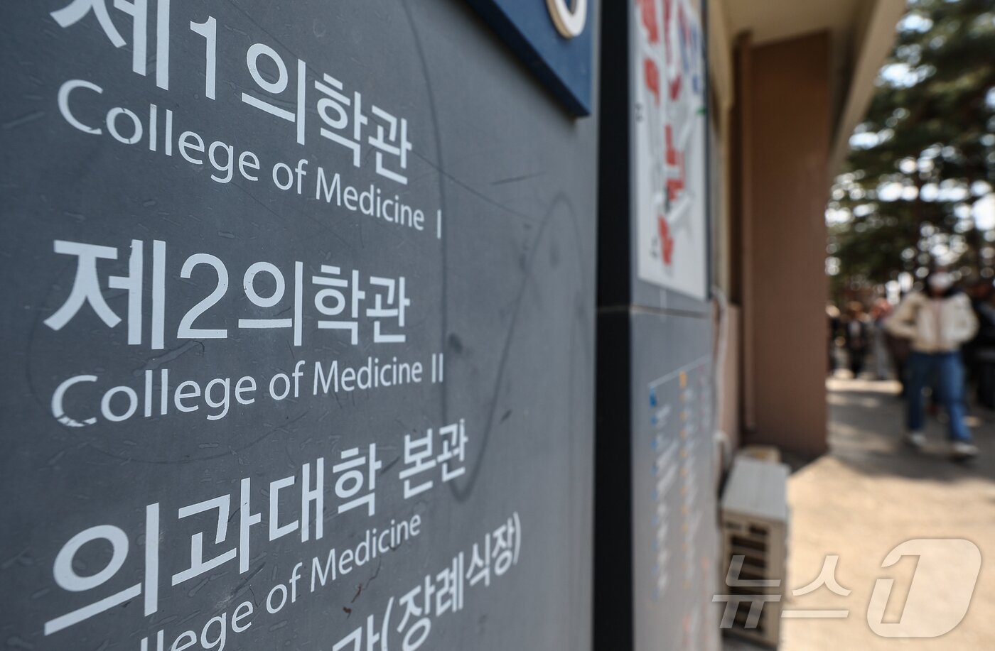 본문 이미지 - 31일 서울 시내 한 의과대학의 모습. 2025.3.31/뉴스1 ⓒ News1 김도우 기자
