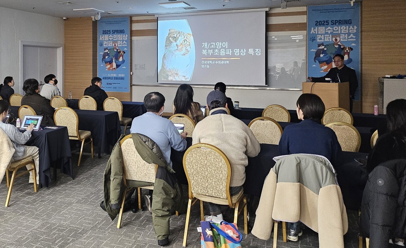 본문 이미지 - 서울시수의사회 2025 춘계 컨퍼런스 초음파 실습 시간에 진행된 이론 강의 (삼성메디슨 제공) ⓒ 뉴스1