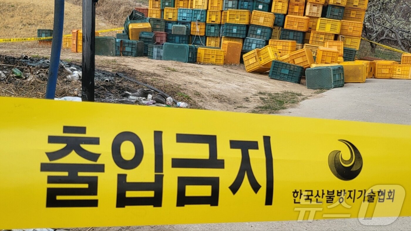 본문 이미지 - 31일 경북 의성군 안계면에 있는 한 자두 과수원 농장에 산림 당국의 출입 통제 라인이 설치돼 있다. 의성 산불이 처음 시작된 곳은 성묘객 실화로 추정되는 안평면 등 두 곳으로 특정됐다. 2025.3.31/뉴스1 ⓒ News1 이성덕 기자