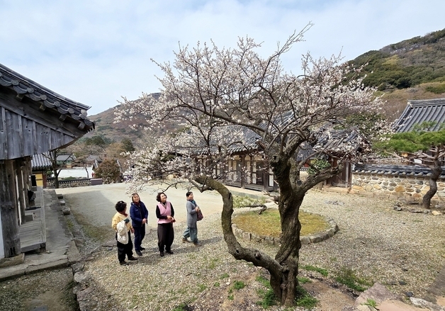 지난해 984만명 해남 찾았다…"체류형 관광지 입증"