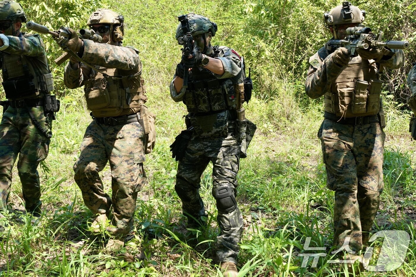 본문 이미지 - 해병대사령부는 지난달 25일부터 오는 3월 7일까지 태국 일대에서 미국 등 6개 참가국과 함께 다국적군 연합작전 수행능력 향상을 위한 &#39;2025년 코브라골드&#39; 연합 훈련에 참가한다고 밝혔다. 지난 28일 한국, 미국, 태국 해병대 수색부대 장병들이 연합 정글수색작전 훈련을 실시하고 있다. &#40;해병대사령부 제공. 재판매 및 DB금지&#41; 2025.3.4/뉴스1