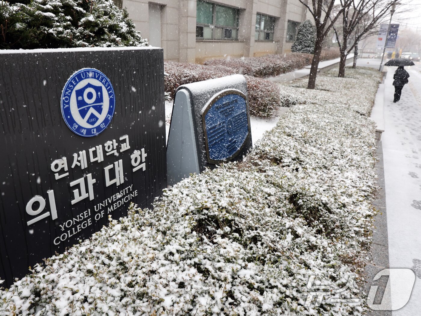 본문 이미지 - 4일 서울 서대문구 연세대 의과대학에 적막감이 흐르고 있다.  2025.3.4/뉴스1 ⓒ News1 황기선 기자