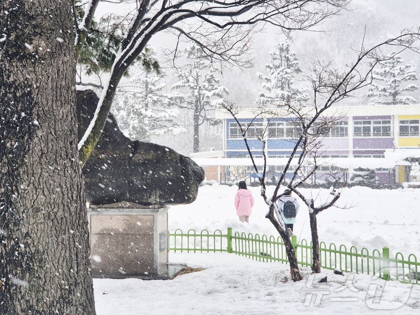 (강릉=뉴스1) 윤왕근 기자 = 강원 산간과 동해안을 중심으로 대설특보가 발효된 4일 강원 강릉시 성산초등학교 아이들이 폭설 속 하교하고 있다. 기상청은 오는 5일까지 강원 산지에 …