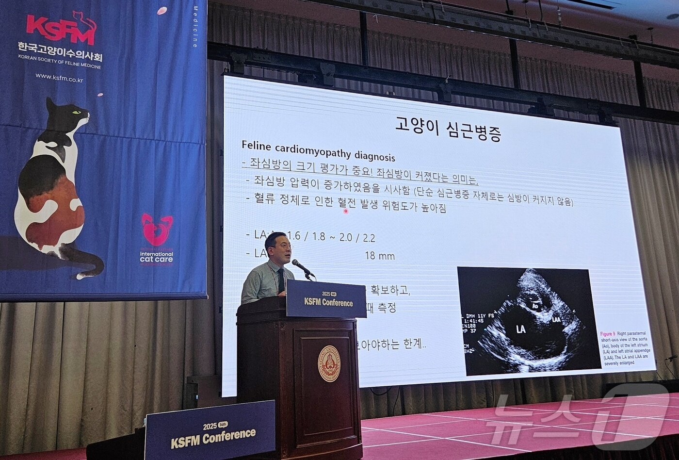 본문 이미지 - 송우진 제주대 교수가 2일 세종대에서 열린 '2025 KSFM 컨퍼런스'에서 강의를 하고 있다. ⓒ 뉴스1 최서윤 기자