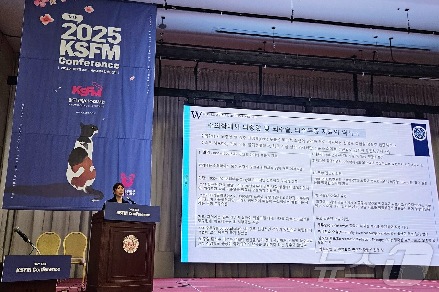 본문 이미지 - 홍연정 웨스턴동물의료센터 원장이 2일 세종대에서 열린 '2025 KSFM 컨퍼런스'에서 강의를 하고 있다. ⓒ 뉴스1 최서윤 기자