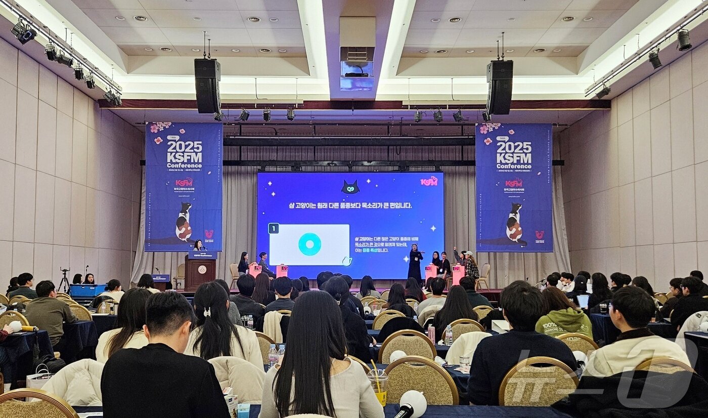 본문 이미지 - KSFM 고양이 임상 퀴즈대회가 1일 세종대에서 진행됐다. ⓒ 뉴스1 최서윤 기자