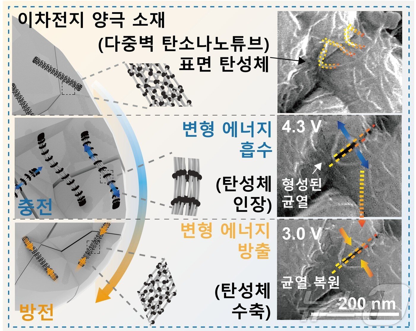 본문 이미지 - 포스텍(포항공대) 친환경소재대학원 신소재공학과와 삼성 SDI, 미국 노스웨스턴대, 중앙대 공동연구팀이 전기차 배터리의 수명과 에너지 밀도를 획기적으로 높일 수 있는 기술. (포스텍 제공, 재판매 및 DB 굼지) 2025.3.5/뉴스1 
