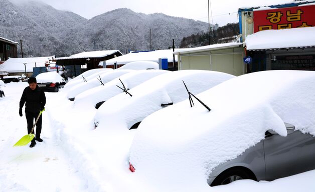 괴산군, 3월3일 폭설 피해면적 6.54㏊, 시설물 피해액 1억4200만원