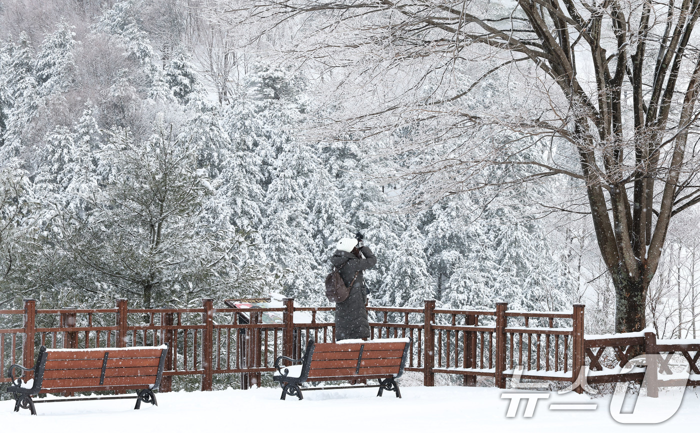 (서울=뉴스1) = 절기상 경칩이자 포근한 날씨를 보인 5일 경남 함양군 휴천면 오도재에서 한 사진가가 하얗게 쌓인 함박눈을 촬영하고 있다. (함양군 김용만 제공. 재판매 및 DB …