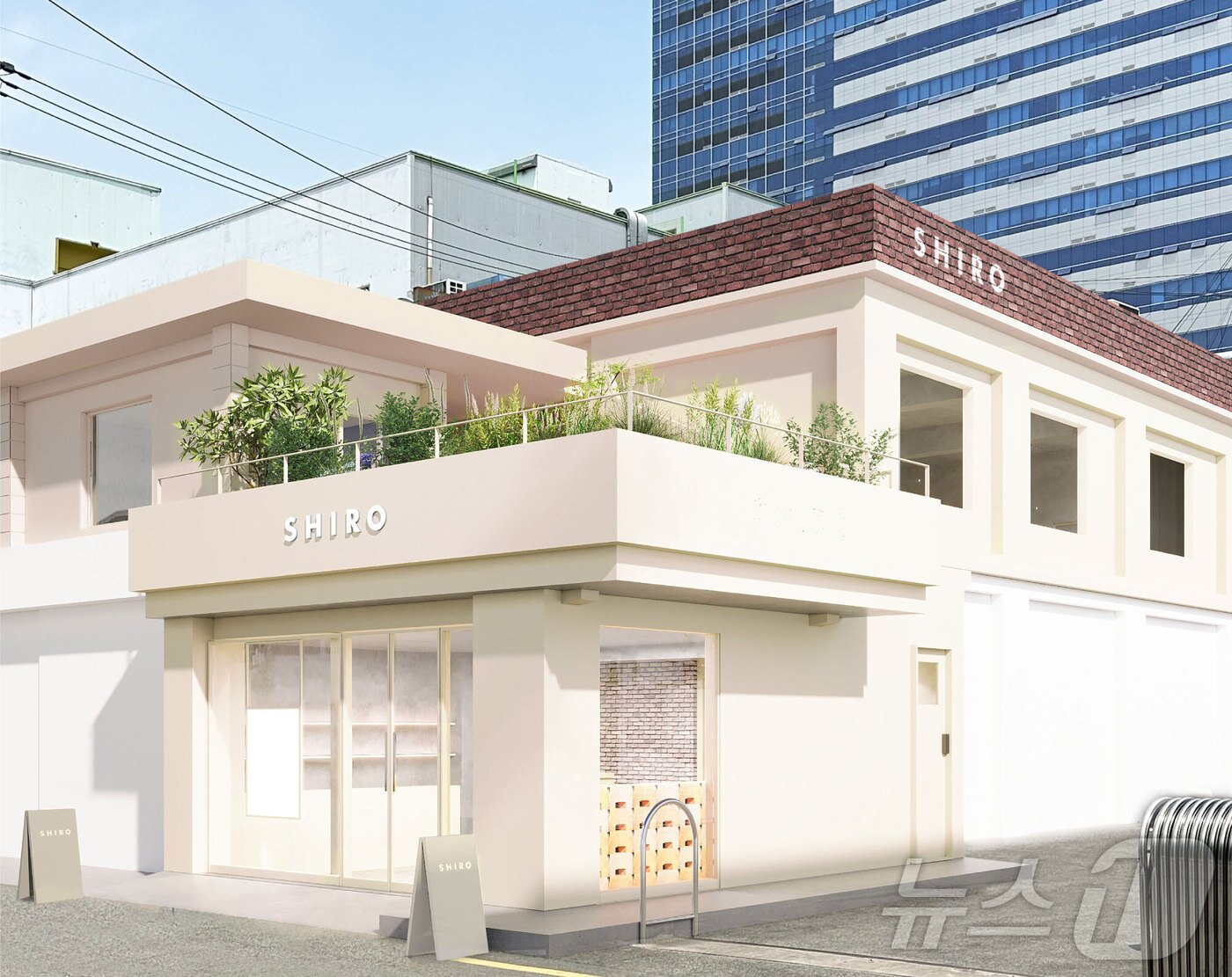 본문 이미지 - 코스메틱 브랜드 '시로'의 오프라인 플래그십 스토어 전경.(시로 제공)