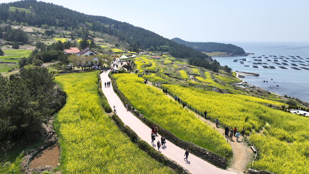 고창·거창·완도 인구감소지역 여행비 50% 환급…13일부터 신청