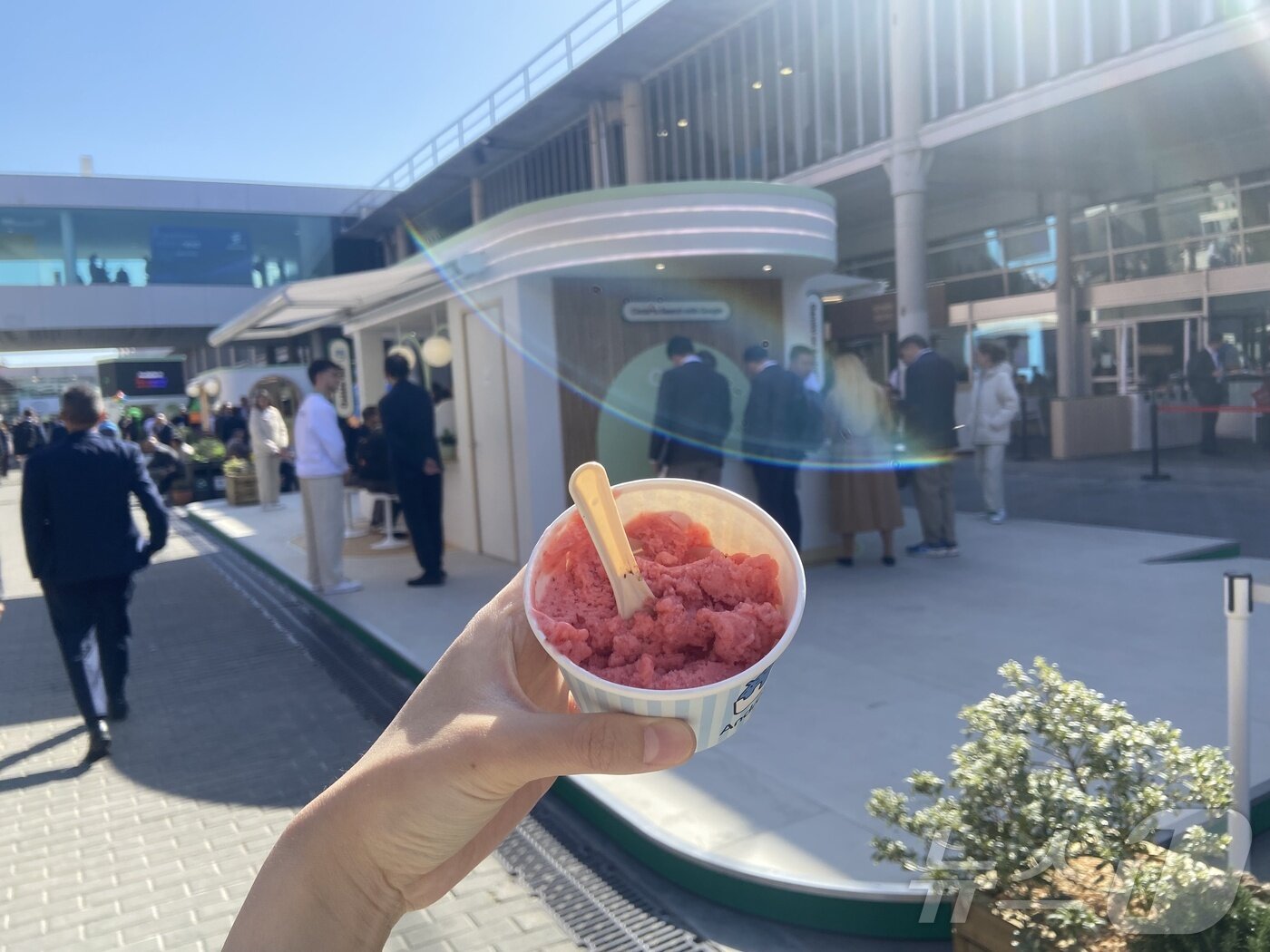 본문 이미지 - 구글 체험관에서 받은 젤라토 ⓒ 뉴스1