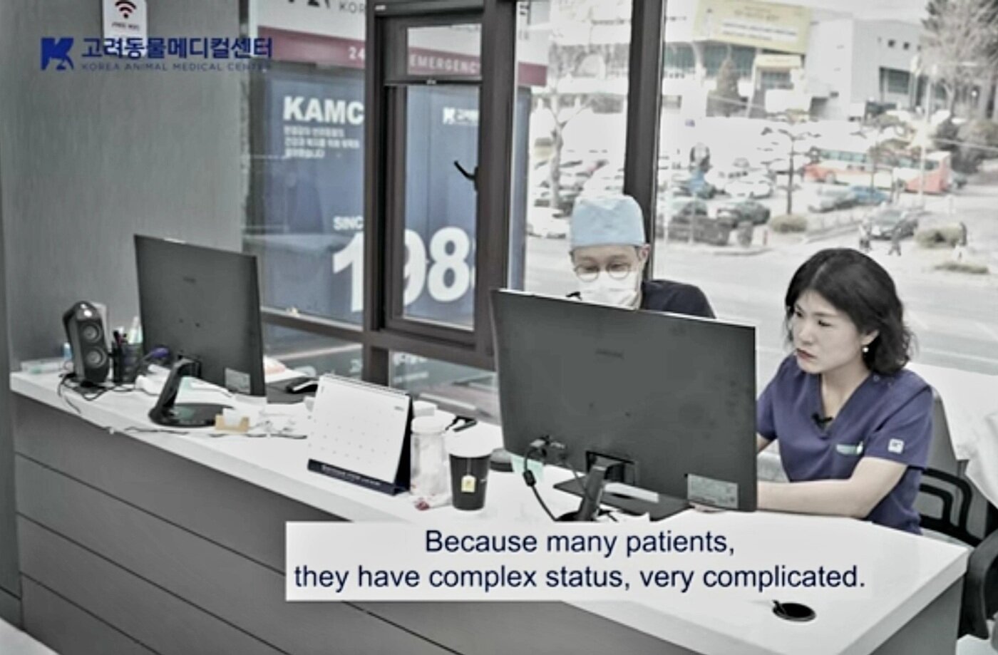 본문 이미지 - 엽경아 원장(오른쪽)과 이선태 원장이 반려견 치료를 위해 영상을 분석하고 있다(고려동물메디컬센터 유튜브 갈무리). ⓒ 뉴스1