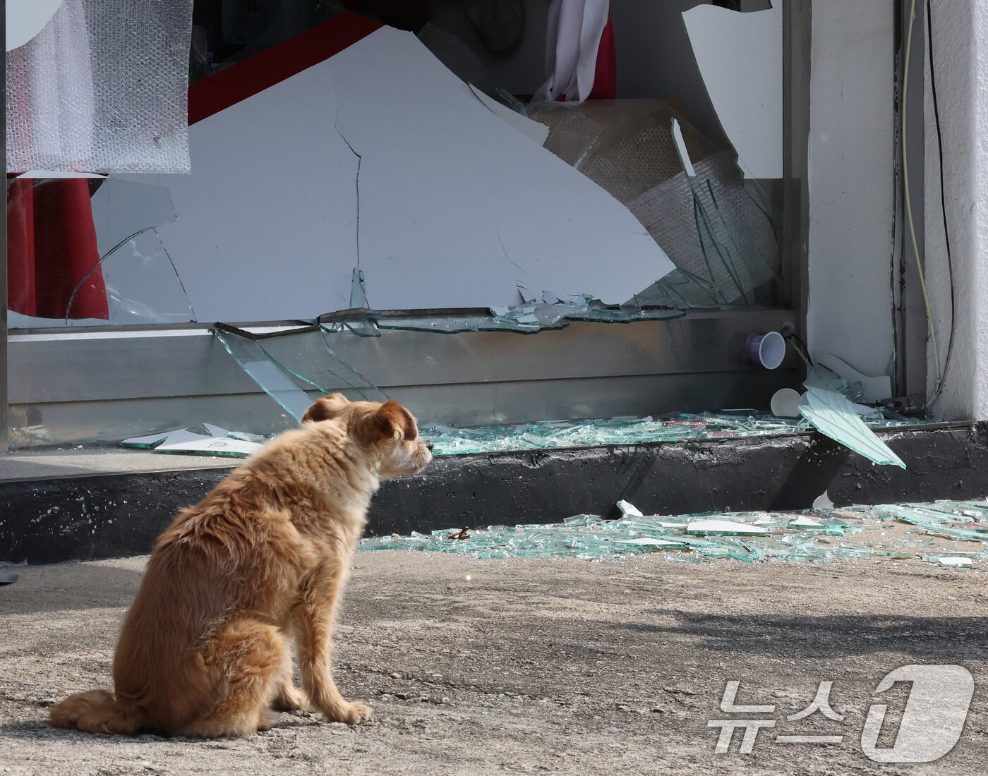 본문 이미지 - 한미 통합화력 실사격 훈련이 실시된 6일 경기 포천시 이동면 노곡리의 한 민가에 공군 공대지 폭탄이 떨어져 유리창이 깨져 있다. 2025.3.6/뉴스1 ⓒ News1 이동해 기자