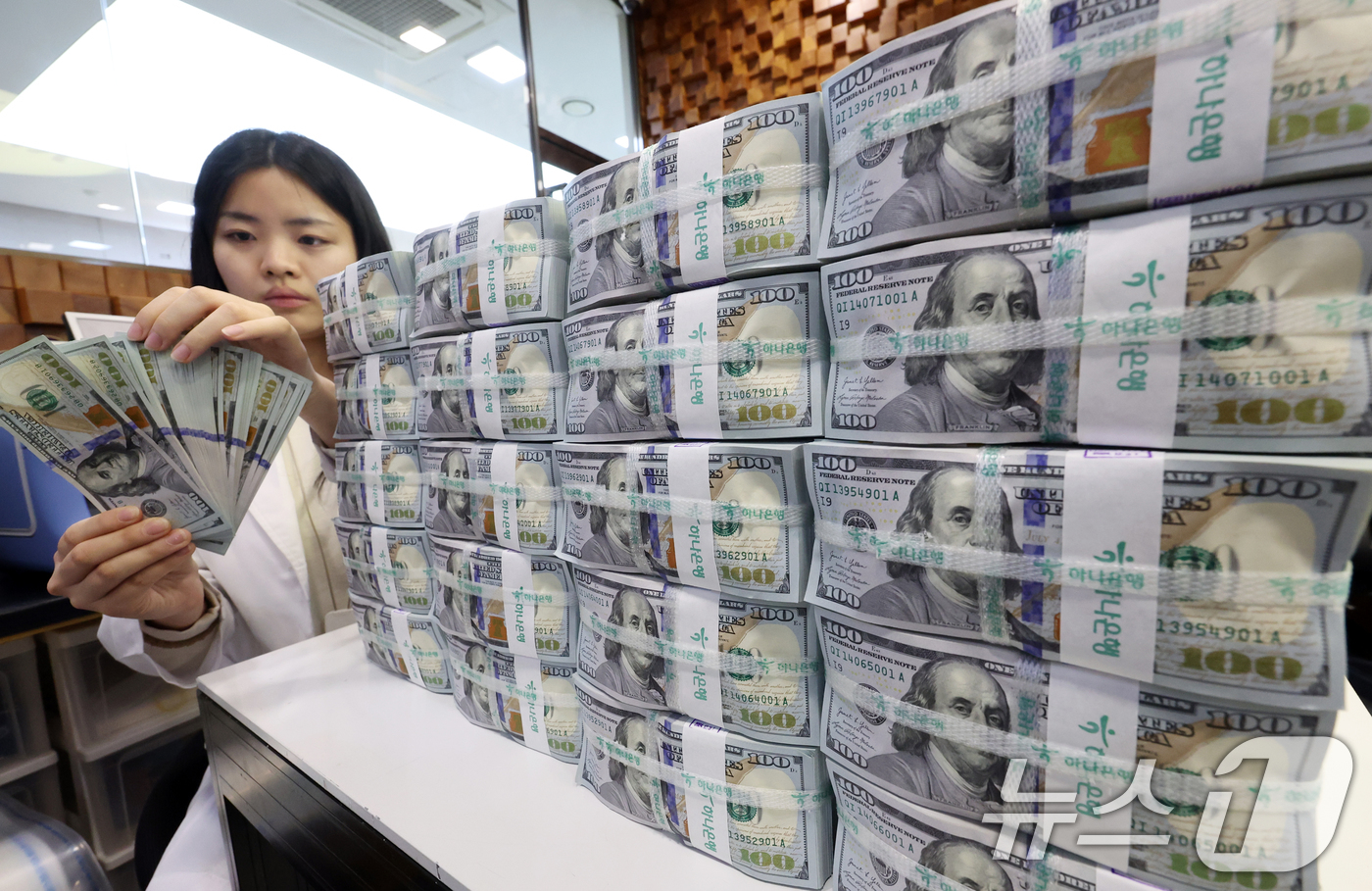 외환보유고 4년 9개월만에 최저치 - 뉴스1