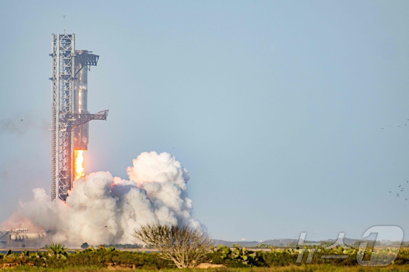 (보카치카 AFP=뉴스1) 우동명 기자 = 일론 머스크의 스페이스X '스타십' 로켓이 6일(현지 시간) 텍사스주 보카치카 해변 스타베이스 우주 발사시설에서 8차 지구궤도 시험비행을 …