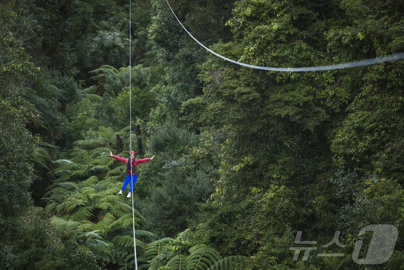 본문 이미지 - 푸른 자연 속에 파고드는 집라인&#40;뉴질랜드관광청 제공&#41;
