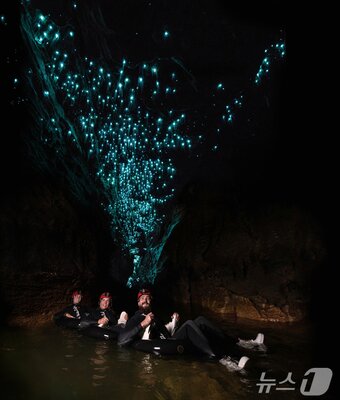 본문 이미지 - 미지의 세계로 떠나는 듯한 와이토모 동굴 탐험&#40;뉴질랜드관광청 제공&#41;