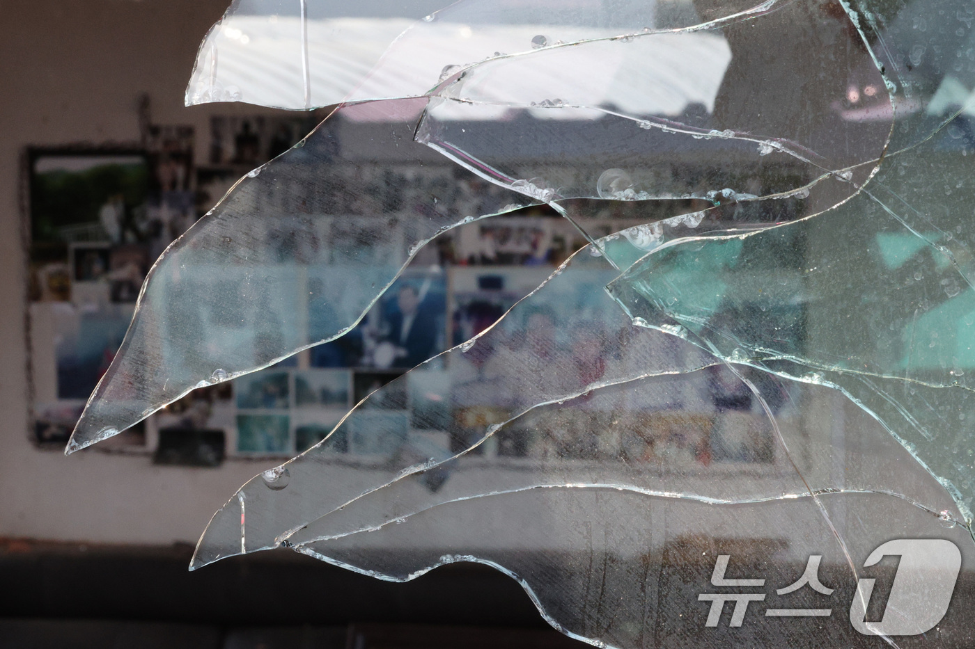 (포천=뉴스1) 신웅수 기자 = 7일 오후 경기 포천시 이동면 노곡리 KF-16 전투기 오폭 사고 현장 인근의 가정집에 깨진 유리창 너머로 가족 사진이 걸려 있다. 2025.3.7 …