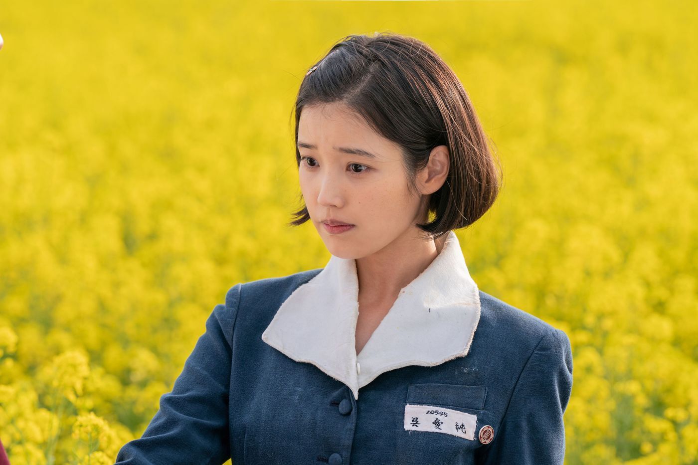 본문 이미지 - 넷플릭스 폭싹 속았수다 스틸컷