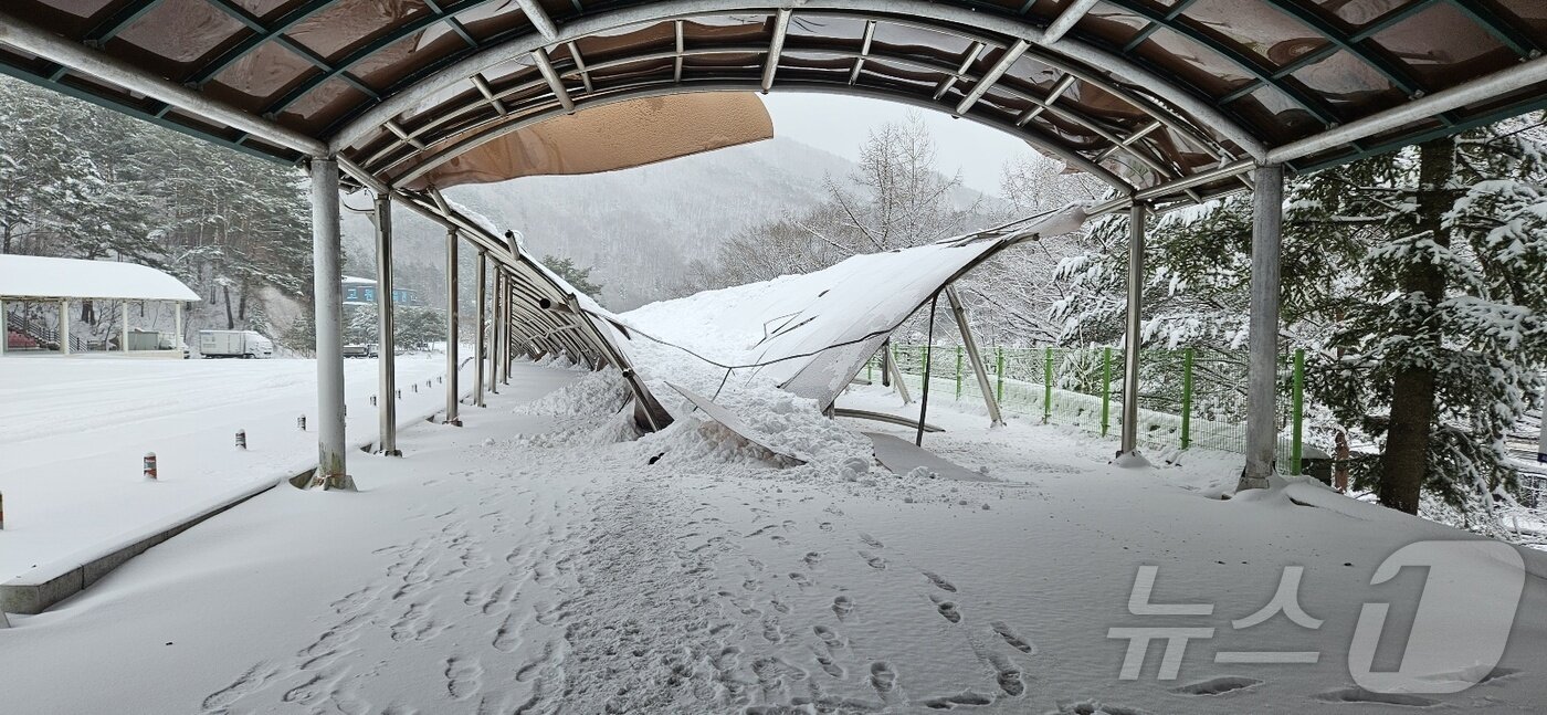 본문 이미지 - 강원 태백시의 이달&#40;3월&#41; 초 폭설피해 현장 자료 사진. &#40;태백시 제공. 재판매 및 DB금지&#41; 2025.3.7/뉴스1