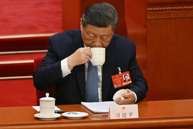 '반부패 숙청' 거침없는 시진핑…'호랑이'급만 이달 7명 낙마