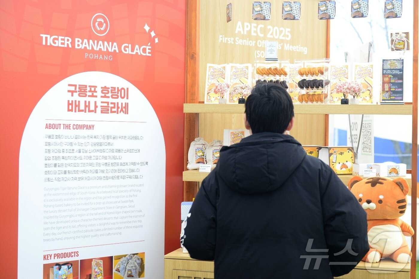 본문 이미지 - 8일 경북 경주시 보문단지 경주컨벤션센터(HICO) 야외에 마련된 투명 돔 공연장에서 APEC 참가자가 포항 관광 명물제과 상품을 보고 있다. 2025.3.8/뉴스1 ⓒ News1 이성덕 기자