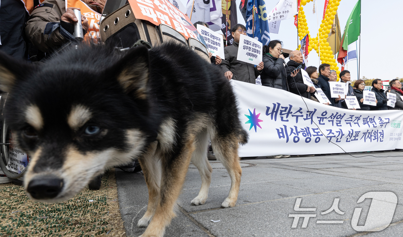 (서울=뉴스1) 이승배 기자 = 9일 오전 서울 종로구 경복궁역 인근에서 열린 '내란수괴 윤석열 즉각 파면 촉구 비상행동 주간 선포 기자회견'에서 참가자들이 윤석열 대통령의 파면을 …