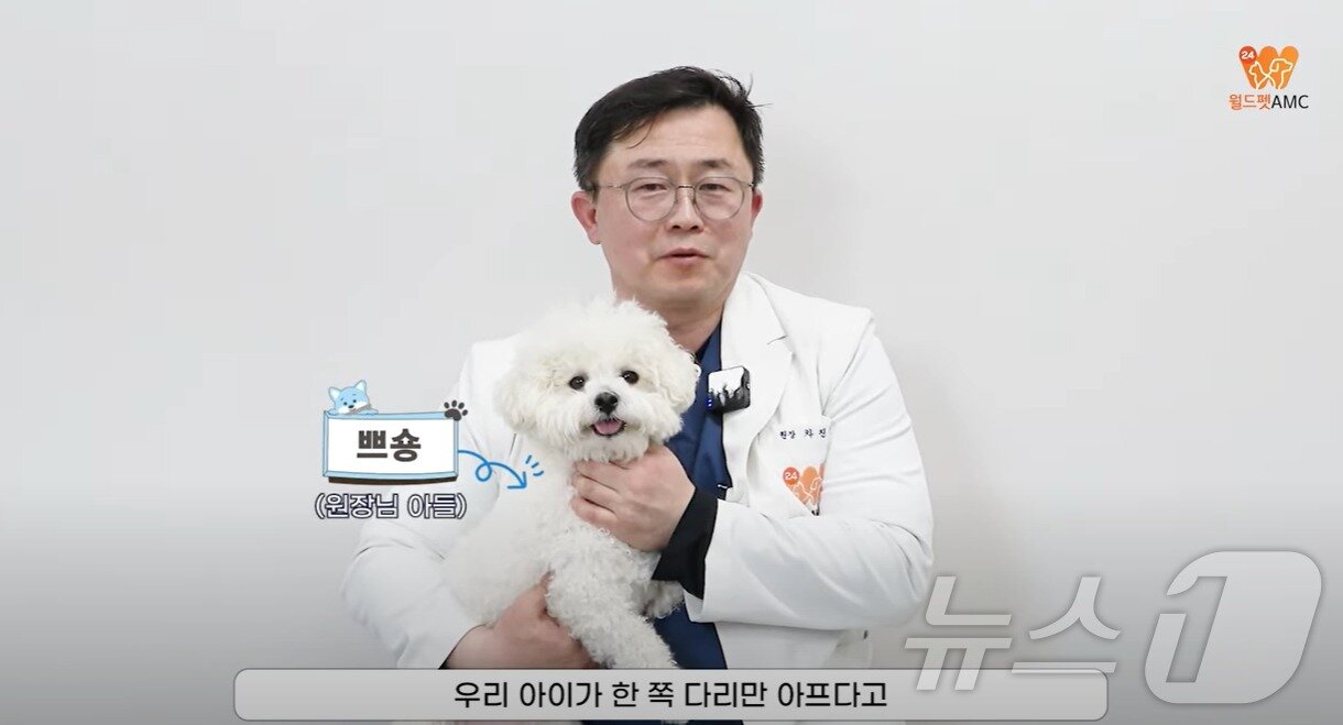본문 이미지 - 월드펫동물메디컬센터 유튜브 화면 갈무리 ⓒ 뉴스1