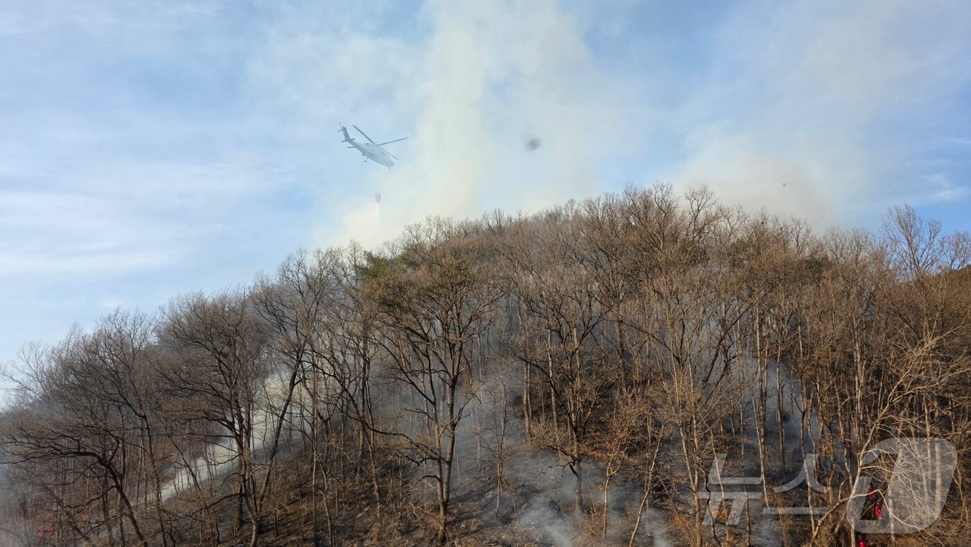 본문 이미지 - 옥천군 청성면 양저리의 한 야산에서 발생한 산불.(옥천소방서제공. 재판매 및 DB금지) /뉴스1 