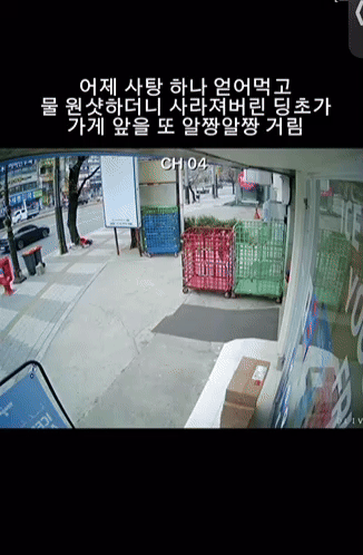 본문 이미지 -  (인스타그램 갈무리)