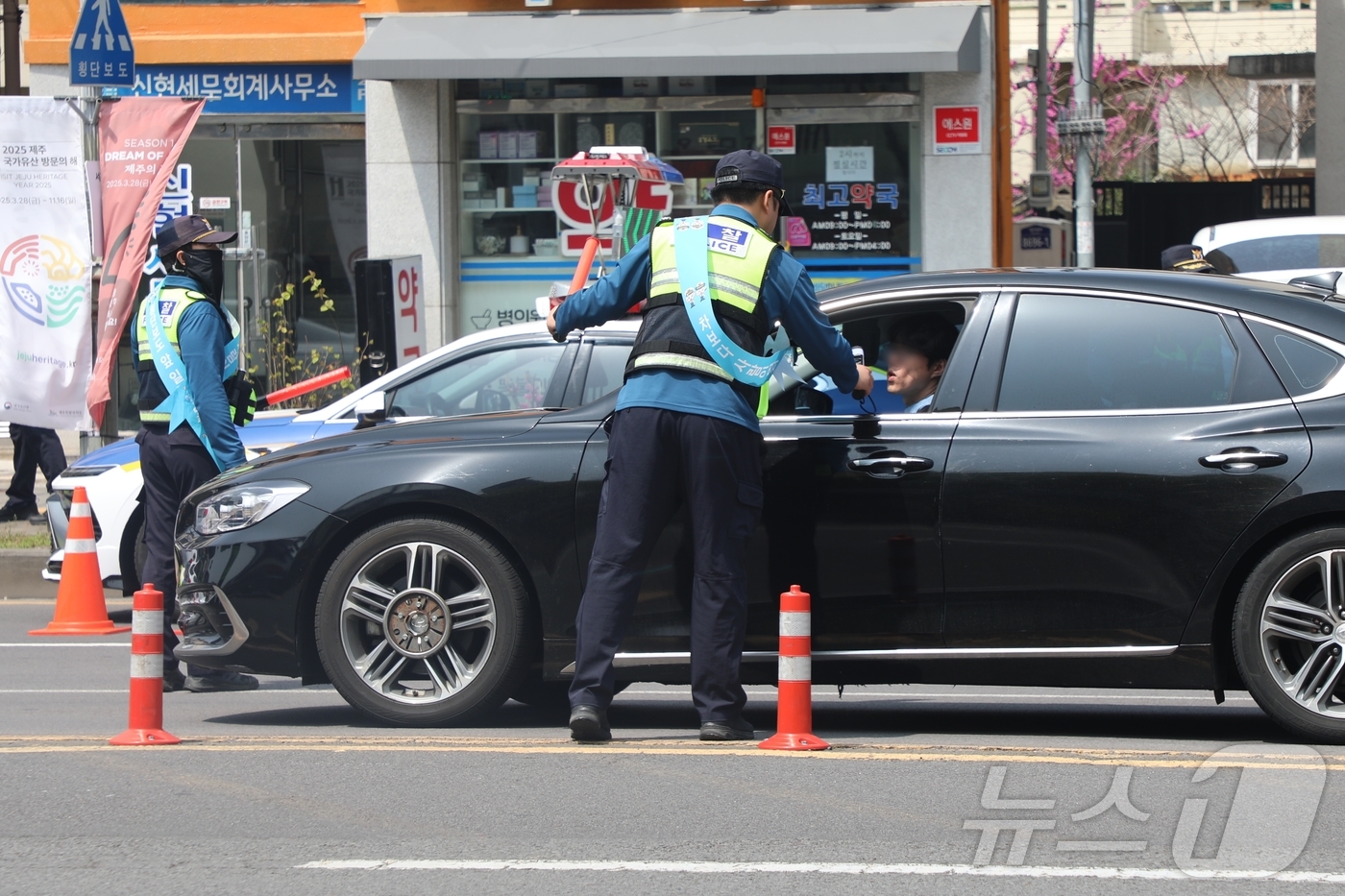 (제주=뉴스1) 홍수영 기자 = 10일 오후 제주 서귀포시 1호광장 인근 도로에서 음주운전 단속이 진행되고 있다. 이날 서귀포경찰서와 제주자치경찰단 55명은 로터리 주변 도로 7곳 …