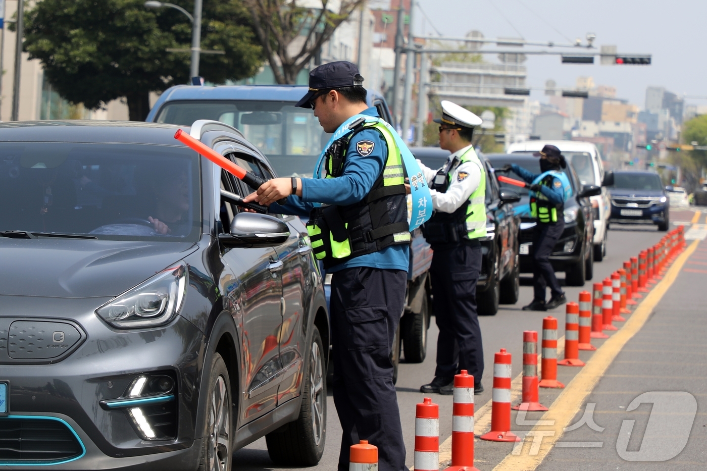 (제주=뉴스1) 홍수영 기자 = 10일 오후 제주 서귀포시 1호광장 인근 도로에서 음주운전 단속이 진행되고 있다. 이날 서귀포경찰서와 제주자치경찰단 55명은 로터리 주변 도로 7곳 …
