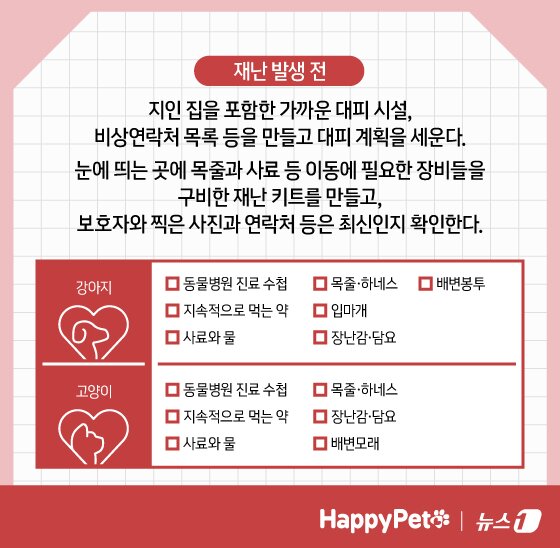 본문 이미지 - 재난 대비 펫카드 ⓒ 뉴스1