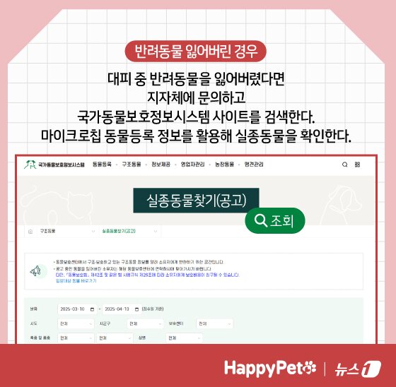 본문 이미지 - 재난 대비 펫카드 ⓒ 뉴스1