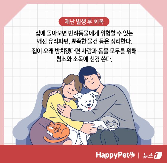 본문 이미지 - 재난 대비 펫카드 ⓒ 뉴스1