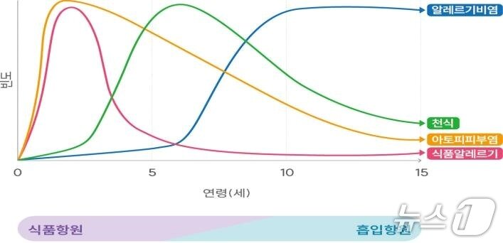 본문 이미지 - 알레르기 행진 (질병청 제공) 2025.4.11/뉴스1ⓒ News1