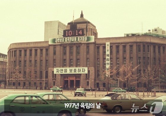 본문 이미지 - 서울시청에 내걸린 육림의날 구호  &#40;산림청 제공.재판매 및 DB금지&#41;/뉴스1