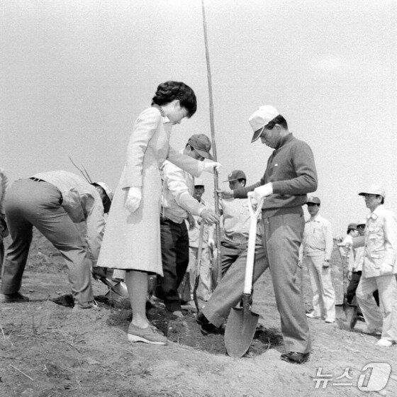 본문 이미지 - 1977년 32회 식목일. 박정희 전 대통령과 박근혜 전 대통령  &#40;산림청 제공.재판매 및 DB금지&#41;/뉴스1