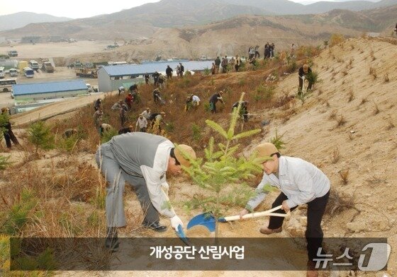 본문 이미지 - 개성공단 산림사업 &#40;산림청 제공.재판매 및 DB금지&#41;/뉴스1