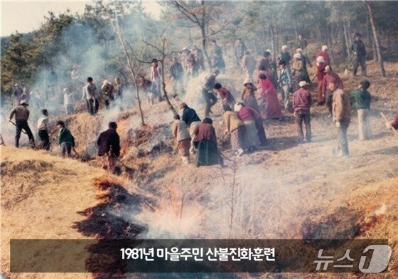 본문 이미지 - 산불진화 훈련 모습  &#40;산림청 제공.재판매 및 DB금지&#41;/뉴스1