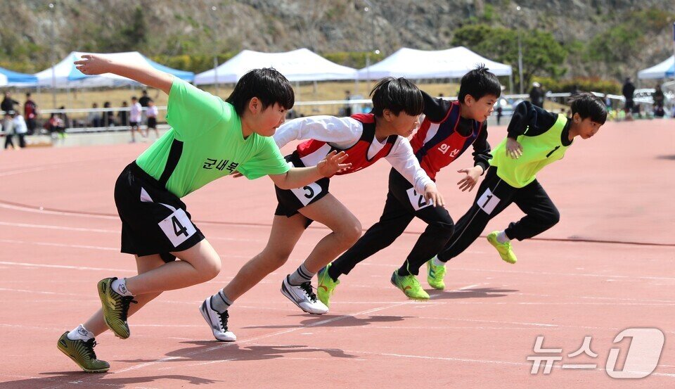 본문 이미지 - 진도교육청의 &#39;교육장배 학년별 육상경기 대회&#39; 에서 학생들이 질주하고 있다.&#40;전남도교육청 제공, 재판매 및 DB 금지&#41;